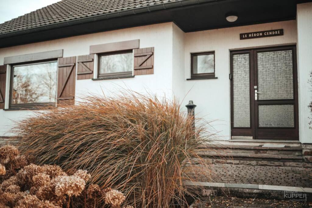 Le Heron 28Pers, Malmedy- Home Cinema, Balneo, Sauna, Jardin Exterior foto